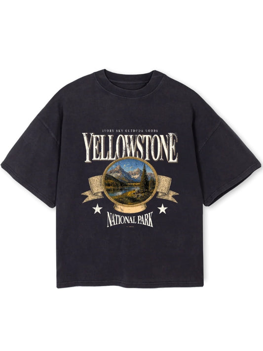 National Park Tee - Vintage Black
